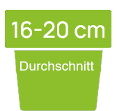 16-20-ger
