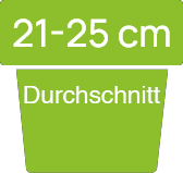 21-25-ger