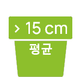 kor-15