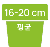 kor-16-20