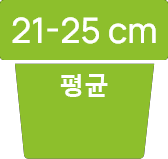 kor-21-25
